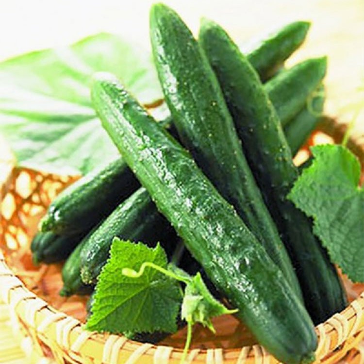 Product Info Image 2